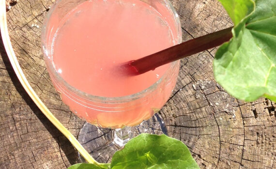 rabarbersaft