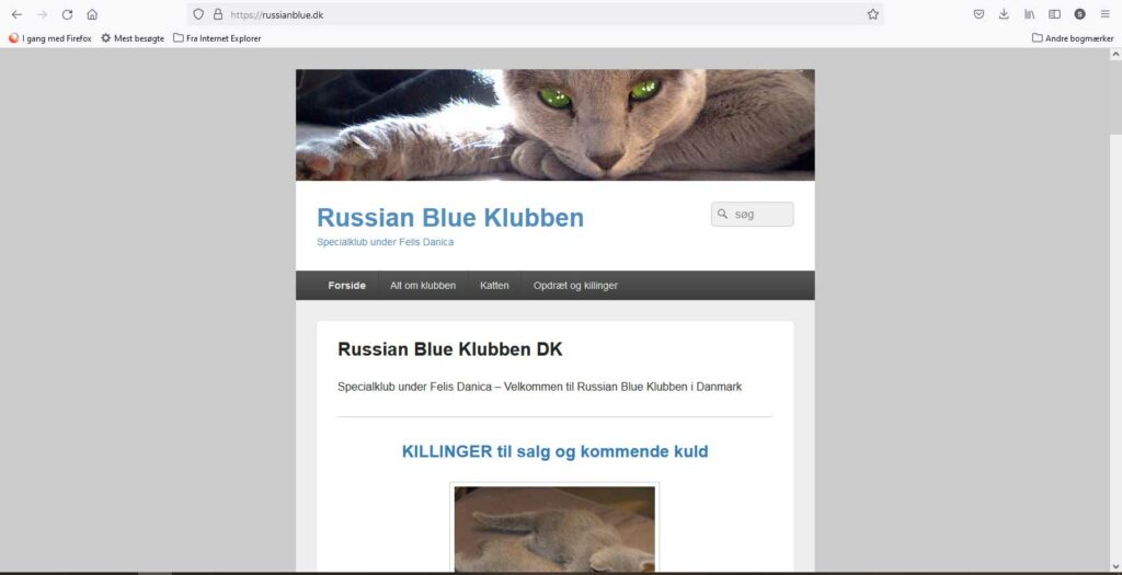 russianblueklubben